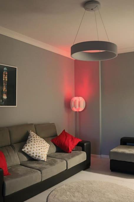 פורטו Сomfortable Apartments And Free Garage Parking מראה חיצוני תמונה